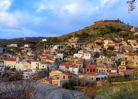 Αγροτεμάχια 4.780τ.μ. για πώληση-Χίος » Αμάνη