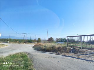 Οικόπεδο 4.000 τ.μ. για ενοικίαση, Ν. Καβάλας, Χρυσούπολη-thumb-7