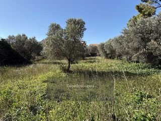 Οικόπεδο 1.050 τ.μ. για πώληση, Αχαΐα, Ρίο-thumb-8