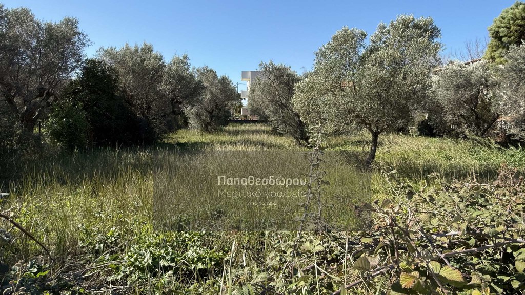 Οικόπεδο 1.050 τ.μ. προς πώληση, Ακταίο Ρίου