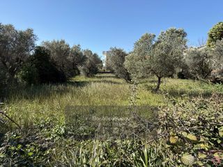 Οικόπεδο 1.050 τ.μ. για πώληση, Αχαΐα, Ρίο-thumb-5