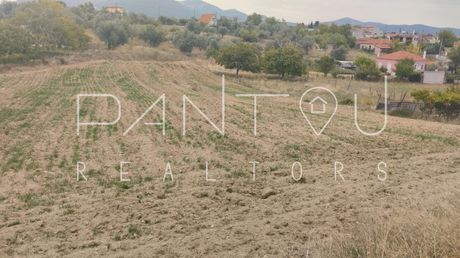 Οικόπεδο 2.570τ.μ. για πώληση-Δίρφυς » Αμφιθέα