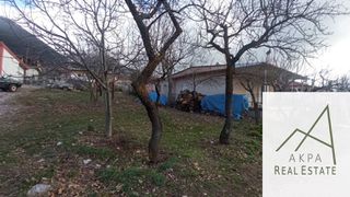 Οικόπεδο 300 τ.μ. για ενοικίαση, Ευρυτανία, Καρπενήσι-thumb-2