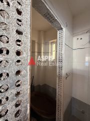 Κατάστημα 360 τ.μ. για πώληση, Αττική - Υπόλοιπο, Κερατέα-thumb-8