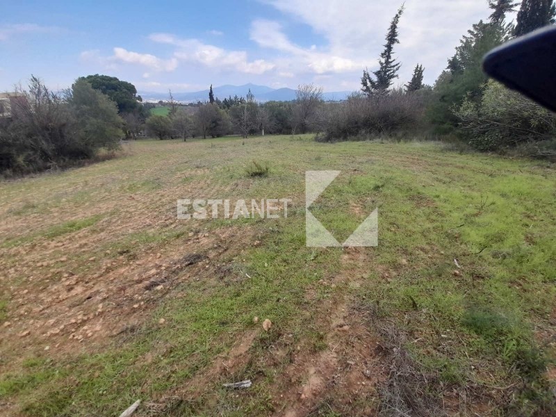 Αγροτεμάχια 6.300 τ.μ. προς πώληση, Τρίλοφο Θέρμης