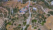 Land plot 1.569sqm for sale-Vouprasia » Agios Stefanos