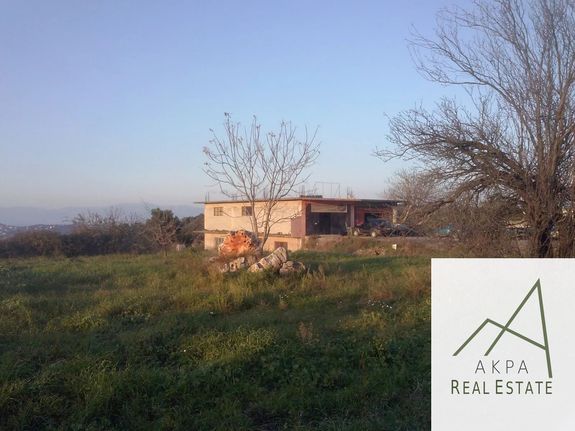 Βιοτεχνικός χώρος 546 τ.μ. για πώληση, Φθιώτιδας, Μαλεσίνα