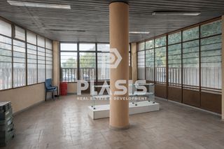 Store 536 sqm for rent