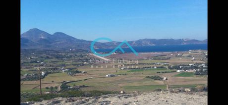 Οικόπεδο 16.000 τ.μ. για πώληση