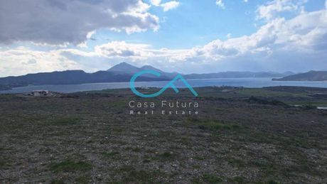 Οικόπεδο 12.000 τ.μ. για πώληση