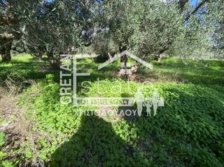Αγροτεμάχια 2.016 τ.μ. για πώληση, Ν. Λασιθίου, Μακρύς Γιαλός-thumb-1