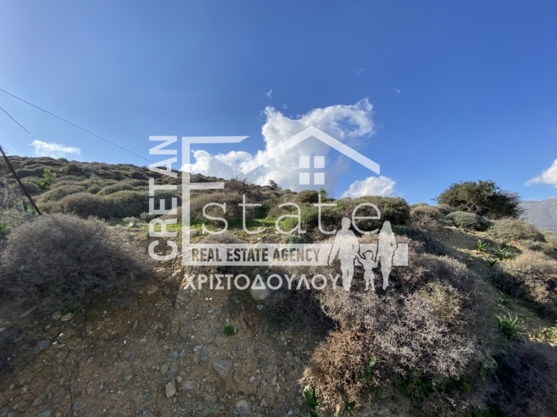 Αγροτεμάχια 5.999 τ.μ. προς πώληση, Ανάληψη Βουπρασίας