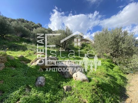 Αγροτεμάχια 4.491τ.μ. για πώληση-Βουπρασία » Ανάληψη