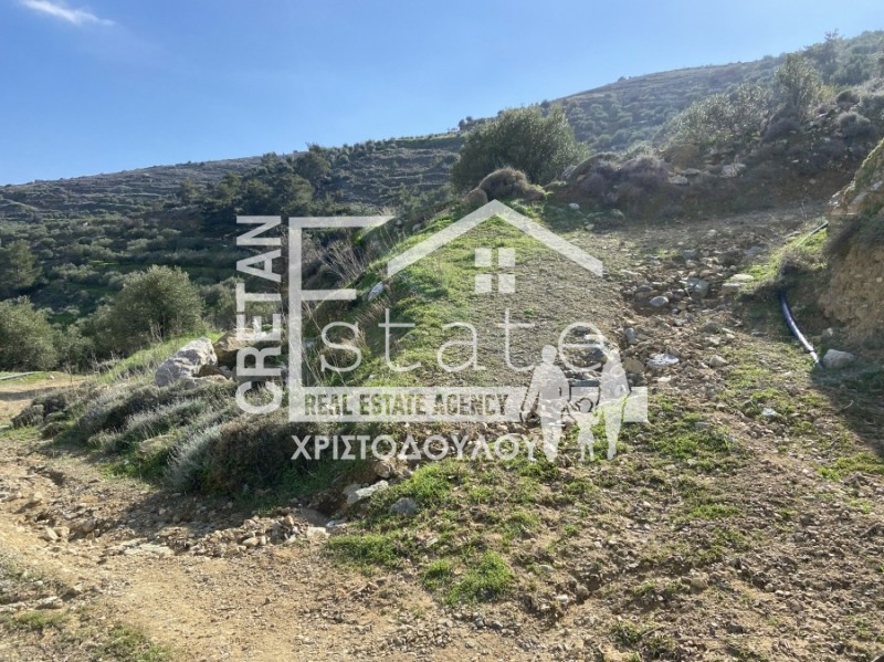 Αγροτεμάχια 4.491 τ.μ. προς πώληση, Ανάληψη Βουπρασίας