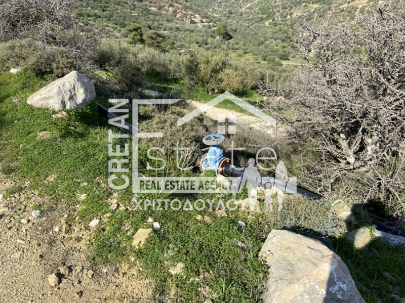 Αγροτεμάχια 4.491 τ.μ. προς πώληση, Ανάληψη Βουπρασίας