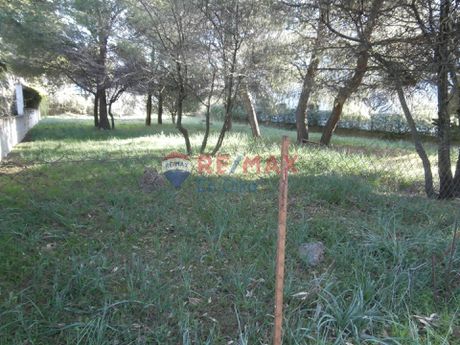 Land plot 2.032sqm for sale-Afidnes