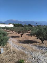 Αγροτεμάχια 5.100 τ.μ. για πώληση
