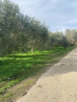 Land plot 7.775sqm for sale-Armenoi » Kalives
