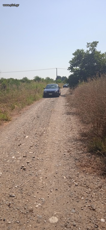 Αγροτεμάχια 6.500 τ.μ. πρός πώληση, Ημαθία, Βέροια