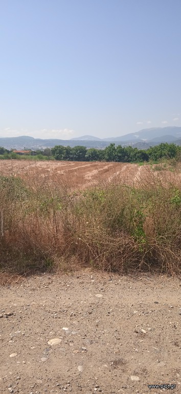 Αγροτεμάχια 6.500 τ.μ. πρός πώληση, Ημαθία, Βέροια