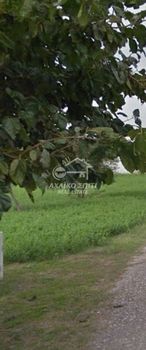 Land plot 1.500sqm for sale-Navpaktos » Palaia Panagia