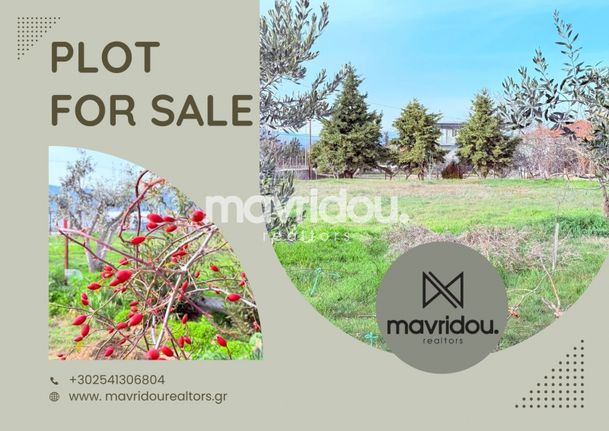 Οικόπεδο 1.000 τ.μ. για πώληση, Ν. Ξάνθης, Βιστωνίδα