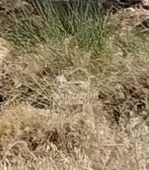 Οικόπεδο 5.400 τ.μ. για πώληση