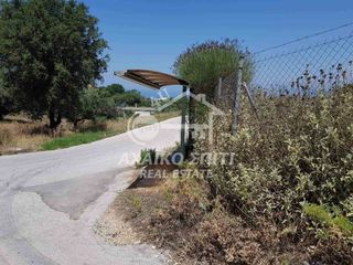 Οικόπεδο 520 τ.μ. για πώληση, Αχαΐα, Μεσσατίδα-thumb-13