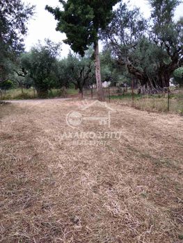 Οικόπεδο 832τ.μ. για πώληση-Ρίο » Άγιος βασίλειος