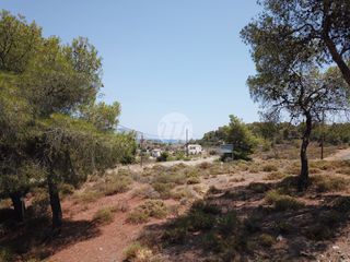 Οικόπεδο 325 τ.μ. για πώληση, Αργολίδα, Κρανίδι-thumb-7