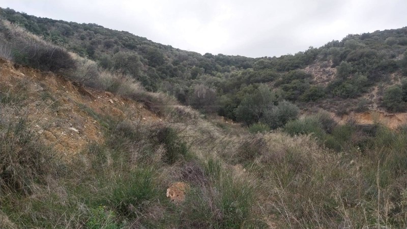 Αγροτεμάχια 4.795 τ.μ. προς πώληση, Διμήνι