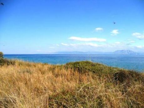 Land plot 20.000sqm for sale-Movri » Kalamaki