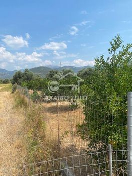 Οικόπεδο 4.880τ.μ. για πώληση-Ναύπακτος » Δάφνη