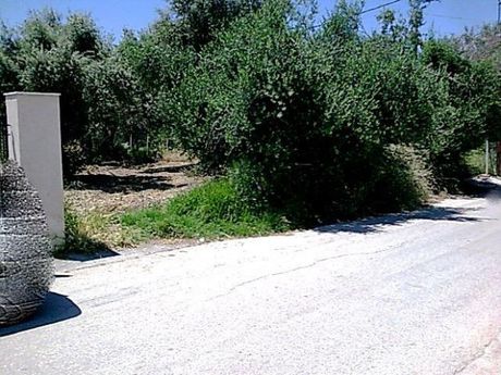 Οικόπεδο 800τ.μ. για πώληση-Βραχναίικα » Κέντρο