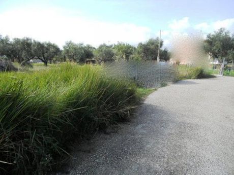 Land plot 420sqm for sale-Rio » Arachovitika