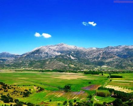 Land plot 7.000sqm for sale-Xilokastro » Karia