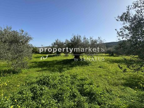Αγροτεμάχια 1.900τ.μ. για πώληση-Αρμενοί » Τσιβαράς