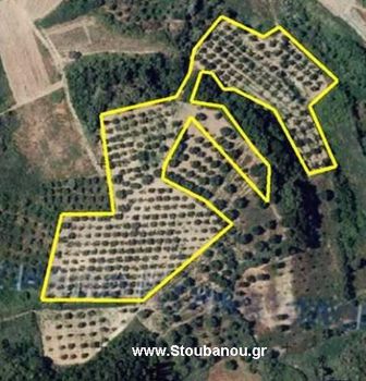 Parcel 14.163sqm for sale-Amaliada » Agios Ilias