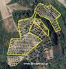 Parcel 14.163sqm for sale-Amaliada » Agios Ilias