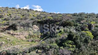 Οικόπεδο 1.210,48 τ.μ. για πώληση, Μεσσηνία, Λεύκτρος-thumb-24