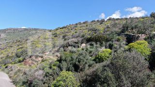 Οικόπεδο 1.210,48 τ.μ. για πώληση, Μεσσηνία, Λεύκτρος-thumb-18