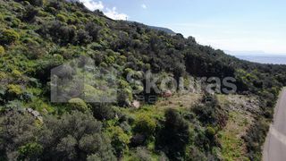Οικόπεδο 1.210,48 τ.μ. για πώληση, Μεσσηνία, Λεύκτρος-thumb-17