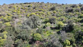 Οικόπεδο 1.210,48 τ.μ. για πώληση, Μεσσηνία, Λεύκτρος-thumb-19