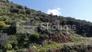 Οικόπεδο 1.210,48 τ.μ. για πώληση, Μεσσηνία, Λεύκτρος-thumb-9