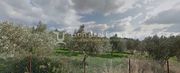 Parcel 8.000sqm for sale-Palaia Fokaia » Κέντρο