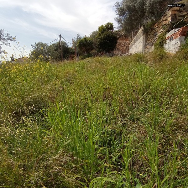Οικόπεδο 413 τ.μ. πρός πώληση, Μαγνησία, Νέα Αγχίαλος