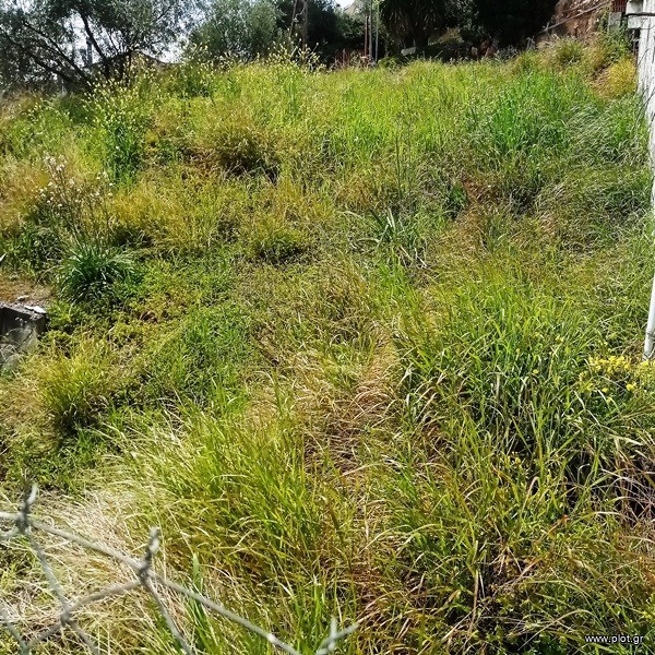 Οικόπεδο 413 τ.μ. πρός πώληση, Μαγνησία, Νέα Αγχίαλος