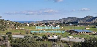 Αγροτεμάχια 1.229 τ.μ. για πώληση