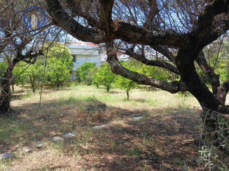 Οικόπεδο 550 τ.μ. για πώληση