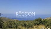 Land plot 2.188sqm for sale-Oitilos » Elaiochori
